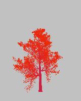 greenshift tree