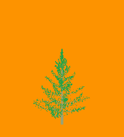 greenshift tree