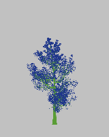 greenshift tree
