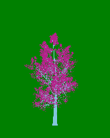 greenshift tree