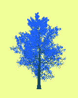greenshift tree