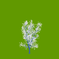 greenshift tree