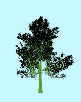 greenshift tree