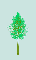 greenshift tree