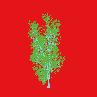greenshift tree