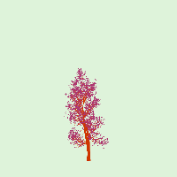 greenshift tree