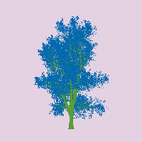greenshift tree