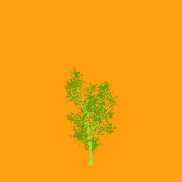 greenshift tree