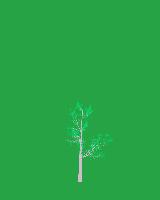 greenshift tree