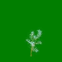 greenshift tree