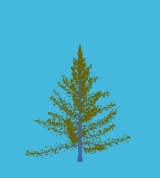 greenshift tree