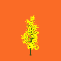 greenshift tree