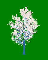 greenshift tree