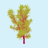 greenshift tree