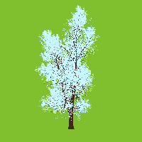 greenshift tree